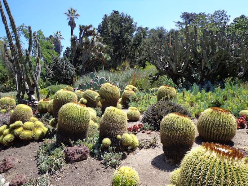 Parque Botánico