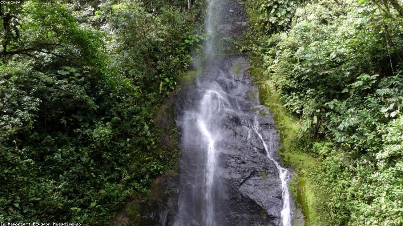 Cascadas y ríos: los atractivos naturales más visitados