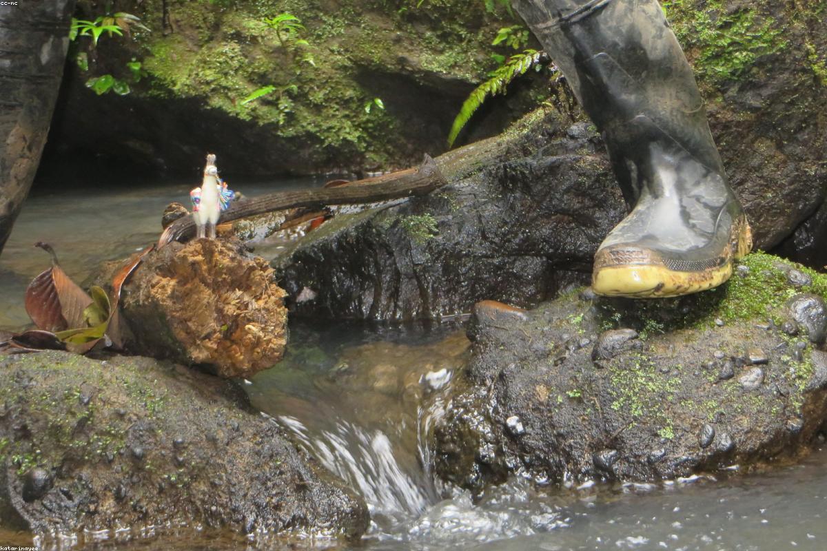 Cascada Velo de Novia, Sucúa